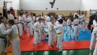 Donbass Aikido