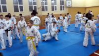 Donbass Aikido