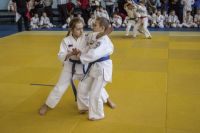Tomiki Aikido Championship 2014