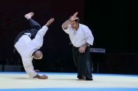 World Combat Games