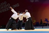 World Combat Games