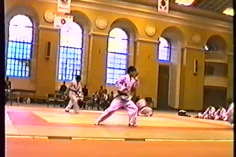 Hapkido #16