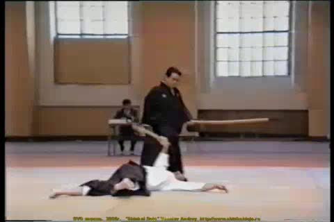 Aikido demonstration by Tomita sensei #8