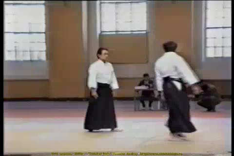 Aikido demonstration by Tomita sensei #9