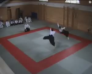 Aikido Presentations